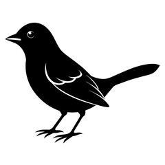 Weaverbird silhouette vector isolated on white background