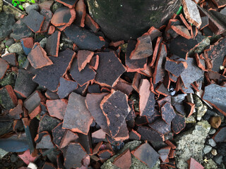 Broken clay roof tiles intentionally placed beneath a tree, a charming blend of man-made and natural elements