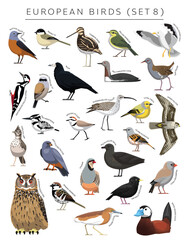 European Birds Set Cartoon Vector Character 8
