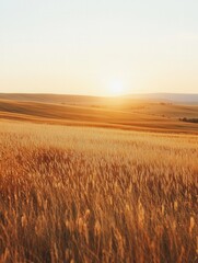 Obraz premium Golden wheat field at sunset with rolling hills under a warm sky creating a peaceful rural landscape with natural beauty