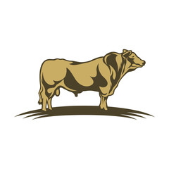 Cow vector