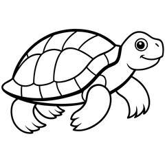 vector illustration of turtle
