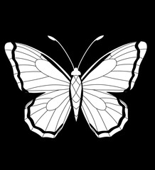 butterfly vector illustration