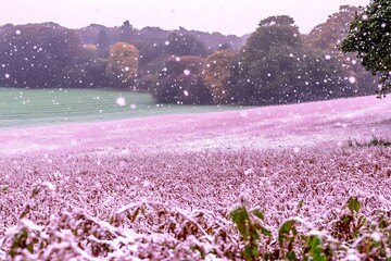 Subtle snow falling on a rural countryside field in a calming atmospheric scenery