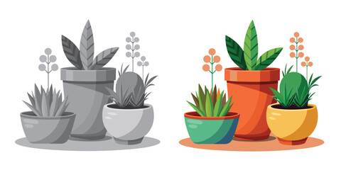 A cactus and flowers in a pot bring Terracotta Planters set nature indoors as a charming home decoration near a window