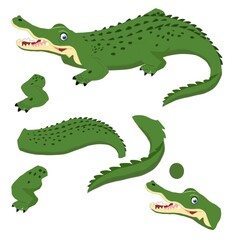 Crocodile with a smile cartoon character body part for making animation 