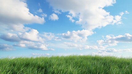 Obraz premium Beautiful spring meadows against the blue sky with white clouds in the background. Banner showing green meadows, perfect for the natural background of the spring vector presentation design.