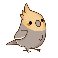 bird, nature, wildlife, background, natural, animal, pattern, design, isolated, white, collection, flight, drawing, sky, group, silhouette, wing, beautiful, illustration, vector, black, fly, freedom, 