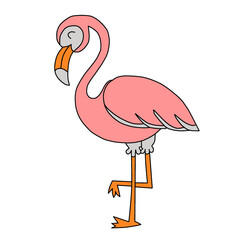 bird, nature, wildlife, background, natural, animal, pattern, design, isolated, white, collection, flight, drawing, sky, group, silhouette, wing, beautiful, illustration, vector, black, fly, freedom, 