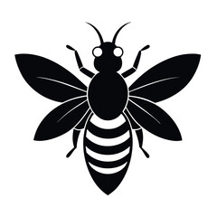 vector illustration of a bee
