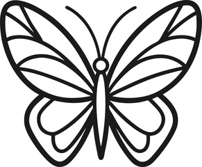 butterfly on a white background