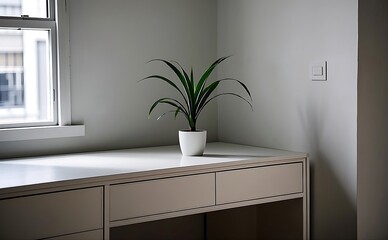 A plant in a white pot sits on a desk near a window in a minimalist room with neutral colors