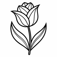 Tulip line art isolated on  white background
