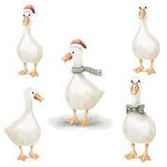 Charming watercolor geese wearing seasonal accessories in a playful design