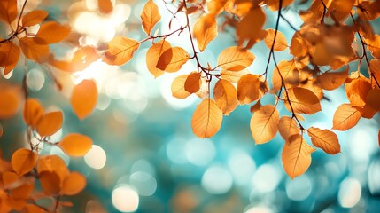 Obraz premium Vibrant Orange and Yellow Leaves