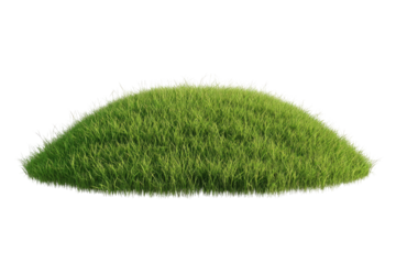 Lush green grass hill
