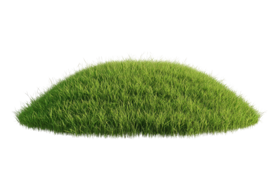 Lush green grass hill
