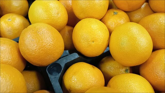 Juicy ripe oranges in the supermarket boxes. Sour oranges. Allergy to citrus fruits. Fruit supplies. The benefits of citrus.