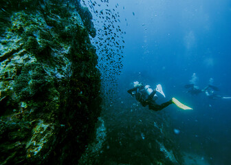Fototapeta premium SCUBA DIVE THAILANDIA ISLAND KOH TAO KOH ROCK BEACH SNORKEL FLAG LONG BOAT