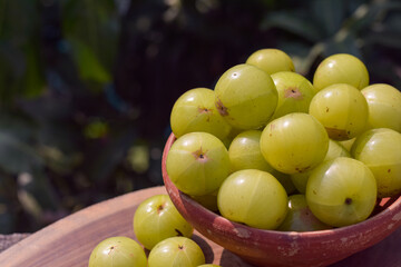 Fresh Indian Gooseberries or Amla in a clay bowl.