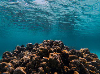 Fototapeta premium SCUBA DIVE THAILANDIA ISLAND KOH TAO KOH ROCK BEACH SNORKEL FLAG LONG BOAT