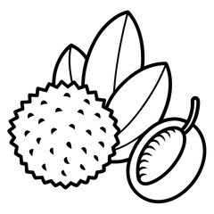 Exotic fruits map rambutan lychee jackfruit line art vector  illustration