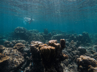 SCUBA DIVE THAILANDIA ISLAND KOH TAO KOH ROCK BEACH SNORKEL FLAG LONG BOAT