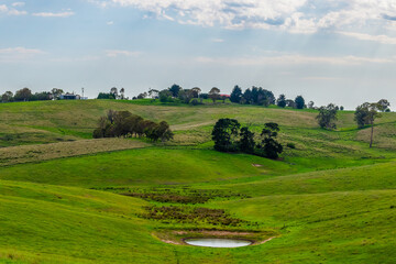 Obraz premium Travelling through the countryside in the Bega Valley Shire