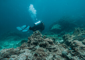 SCUBA DIVE THAILANDIA