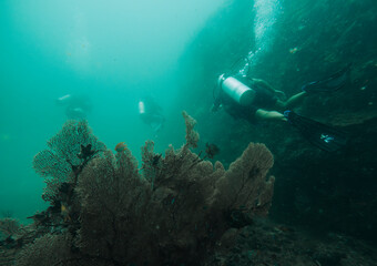 SCUBA DIVE THAILANDIA