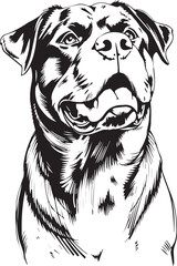 Rottweiler dog. Hand drawn vector illustration