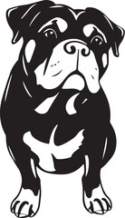 Rottweiler dog. Hand drawn vector illustration