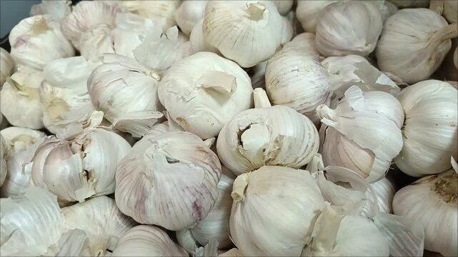 A bunch of white garlic in close-up. Allium sativum. Garlic for cooking spicy dishes. 