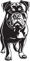 Rottweiler dog. Hand drawn vector illustration