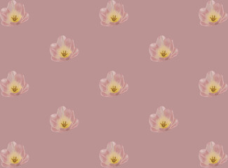 Cherry Blossom Vintage Pattern Design Vector Textile