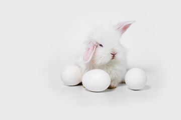 Easter. A cute white bunny sits next to three white eggs, bringing Easter cheer and joy to the festive atmosphere.