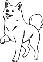Shiba Inu dog. Hand drawn vector illustration