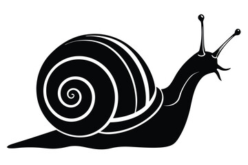 Snail Silhouette Black and White Mollusk, Spiraled Shell, Antennae, Nature Icon