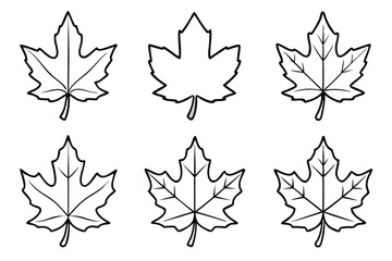 Maple Leaf Line Art Elegant Design for Nature Illustration Artwork  