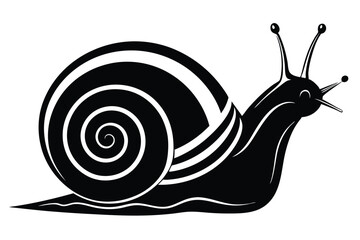Silhouette of a Snail with Antennae and Intricate Shell Markings on White Backdrop