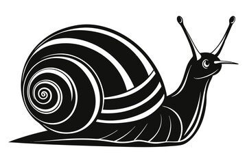 Monochrome Snail Striking Black and White Gastropod Shell with Antennae