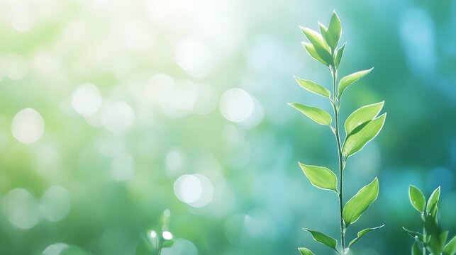 Lush green plant sprout in sunlit bokeh background.