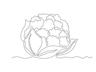 Abstract cauliflower, continuous single one line art hand drawing sketch logo