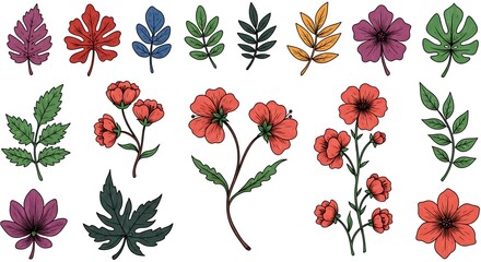 Set of colorful hand drawn leaf and flower illustration, flower isolated graphic elements for your design, floral art for classic design