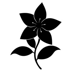 Jasmine silhouette isolated on white background