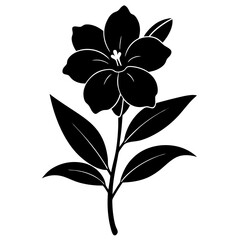 Oleander silhouette isolated on white background