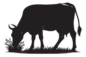 Black Cow Silhouette Eating Grass Vector Illustration for Your Design