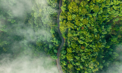 Aerial view of a road in a forest with fog