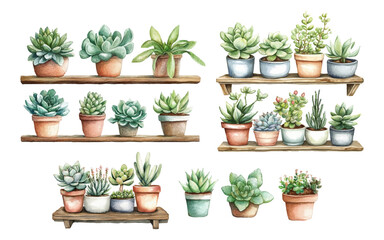Watercolor set of succulents in pots. Decorative plants for home, office, etc. Indoor plants in pots on shelves. Concept of landscaping, decor of rooms of offices and other premises.
