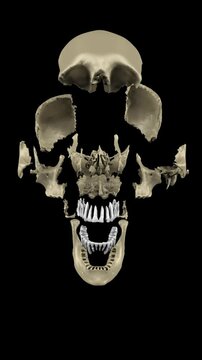 exploding human skull animation 60 fps